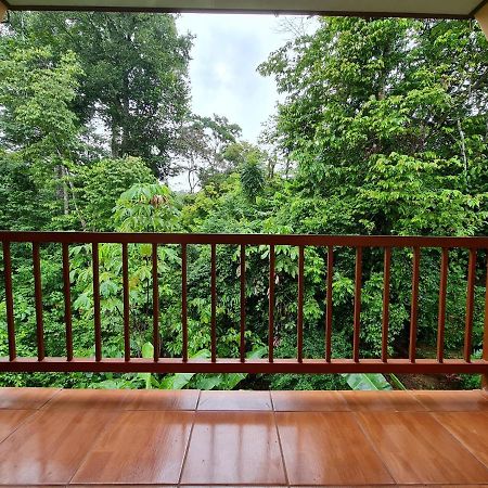 Ceiba Lodge Drakes Bay エクステリア 写真