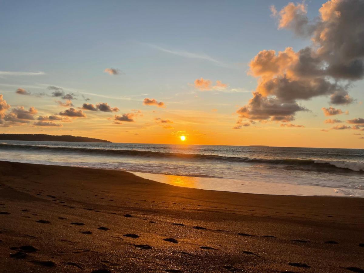 Ceiba Lodge Drakes Bay エクステリア 写真