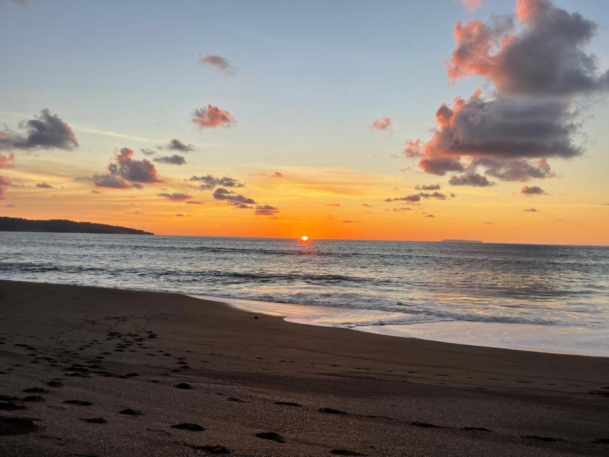 Ceiba Lodge Drakes Bay エクステリア 写真