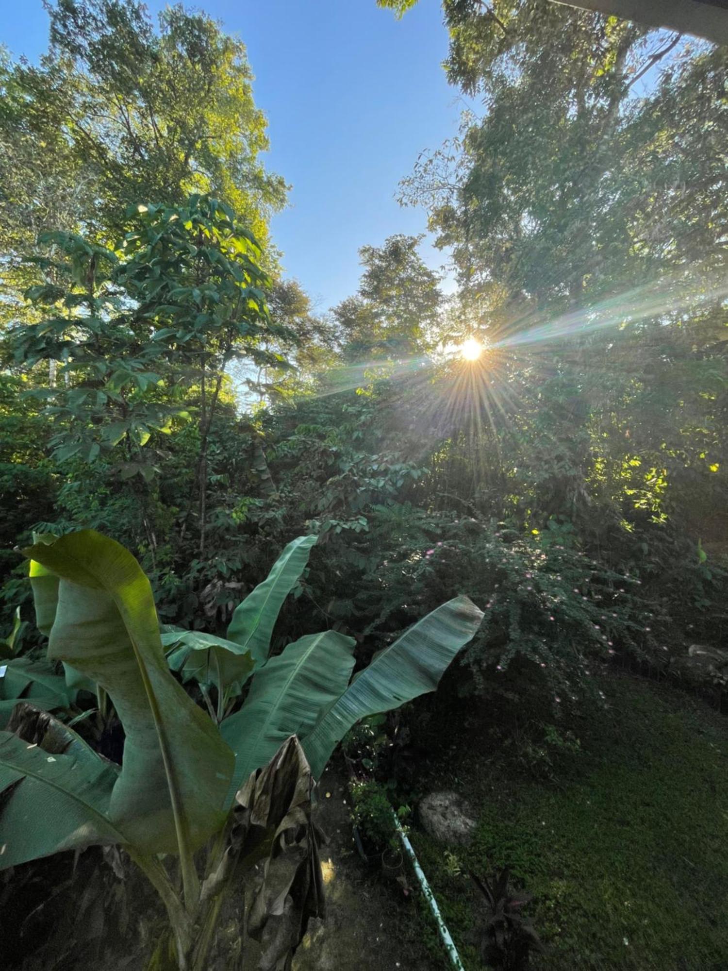 Ceiba Lodge Drakes Bay エクステリア 写真