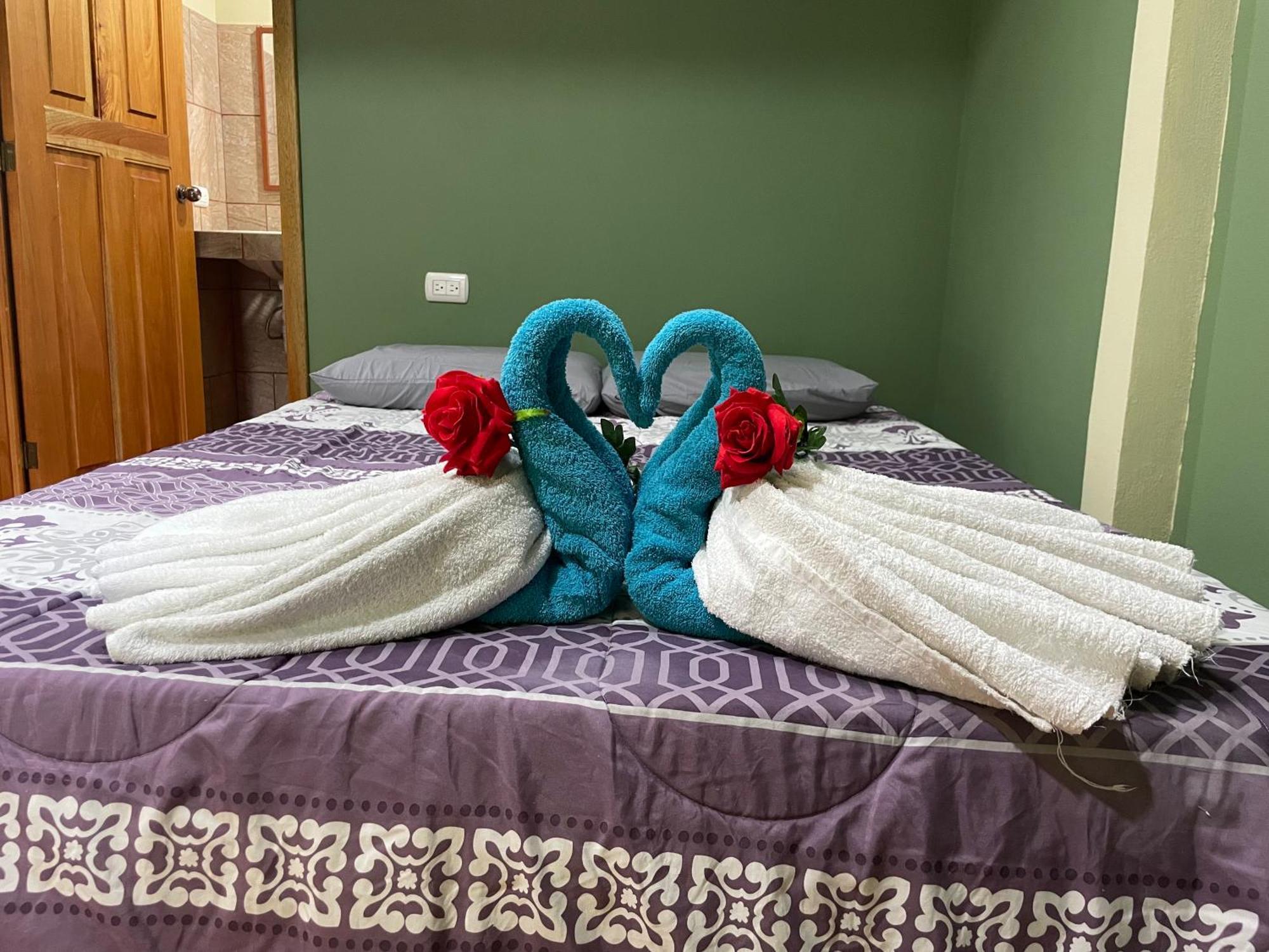 Ceiba Lodge Drakes Bay エクステリア 写真