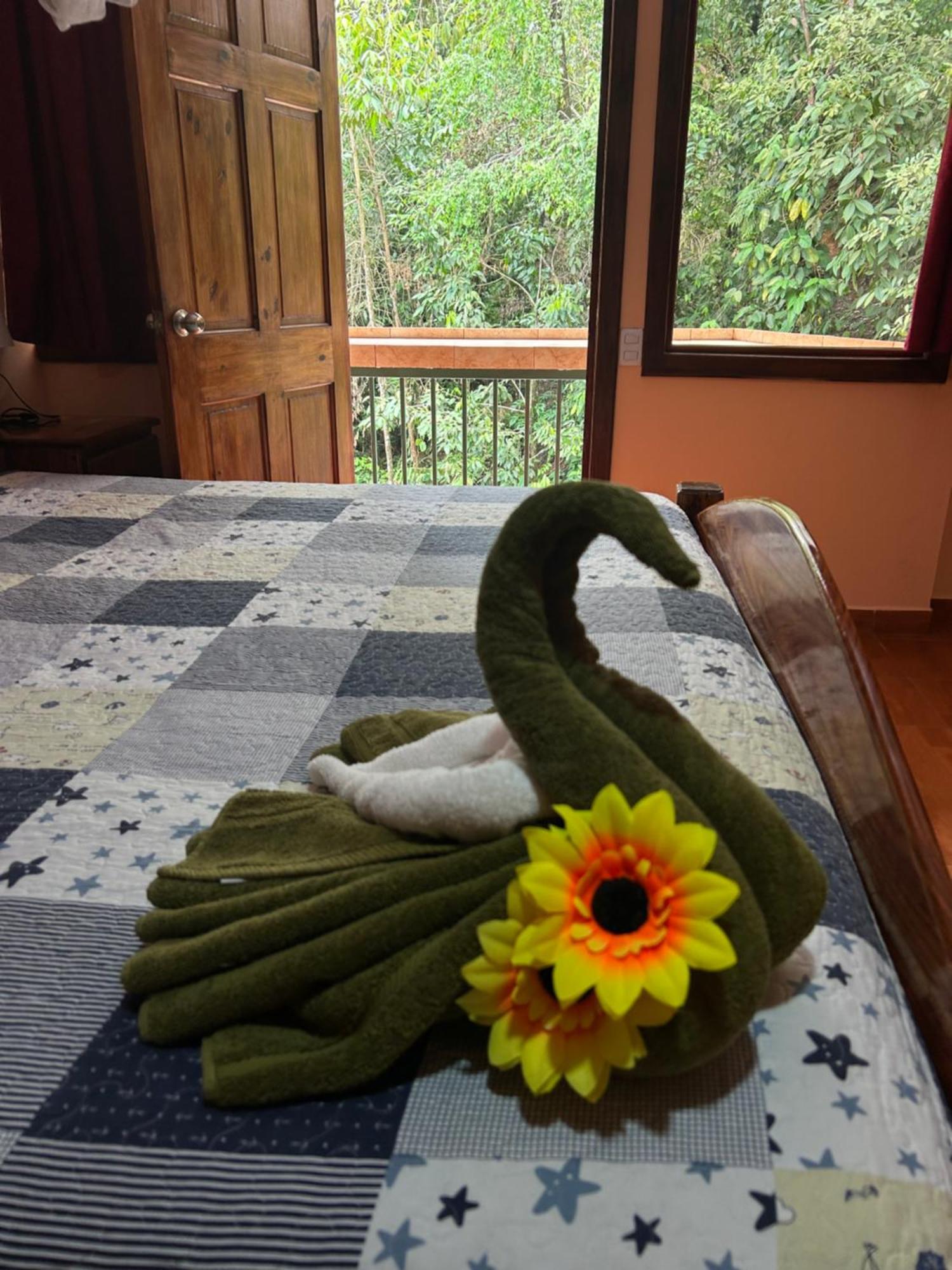 Ceiba Lodge Drakes Bay エクステリア 写真
