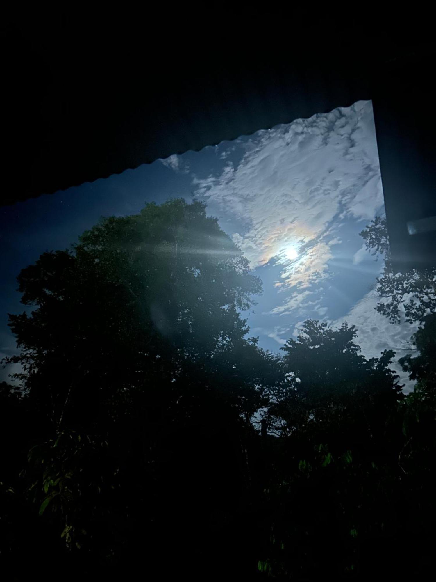 Ceiba Lodge Drakes Bay エクステリア 写真